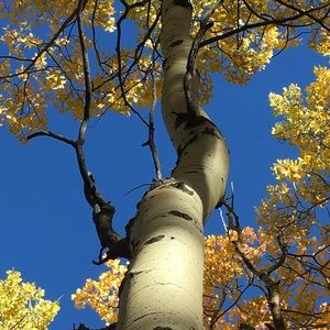 Meet your Posher, Sandy